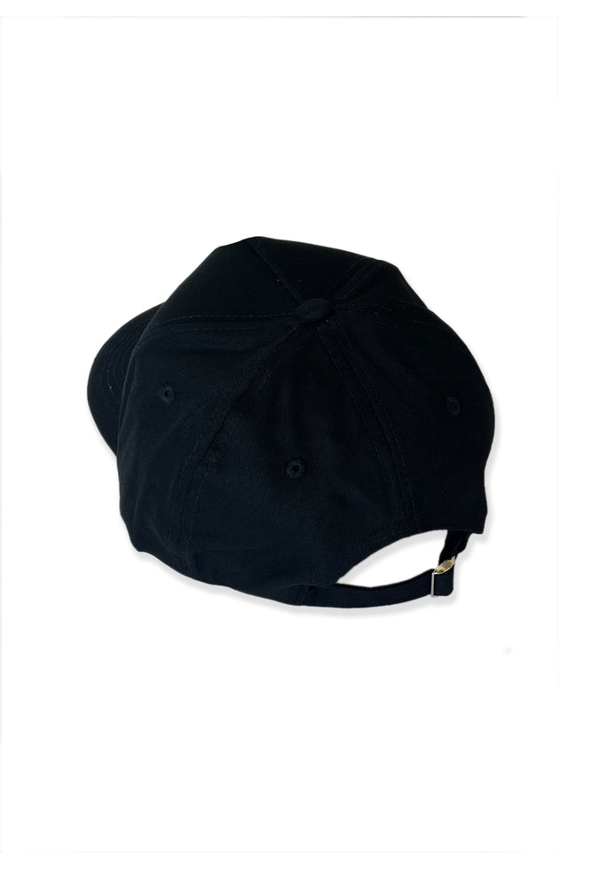 DALMATIAN DAD HAT
