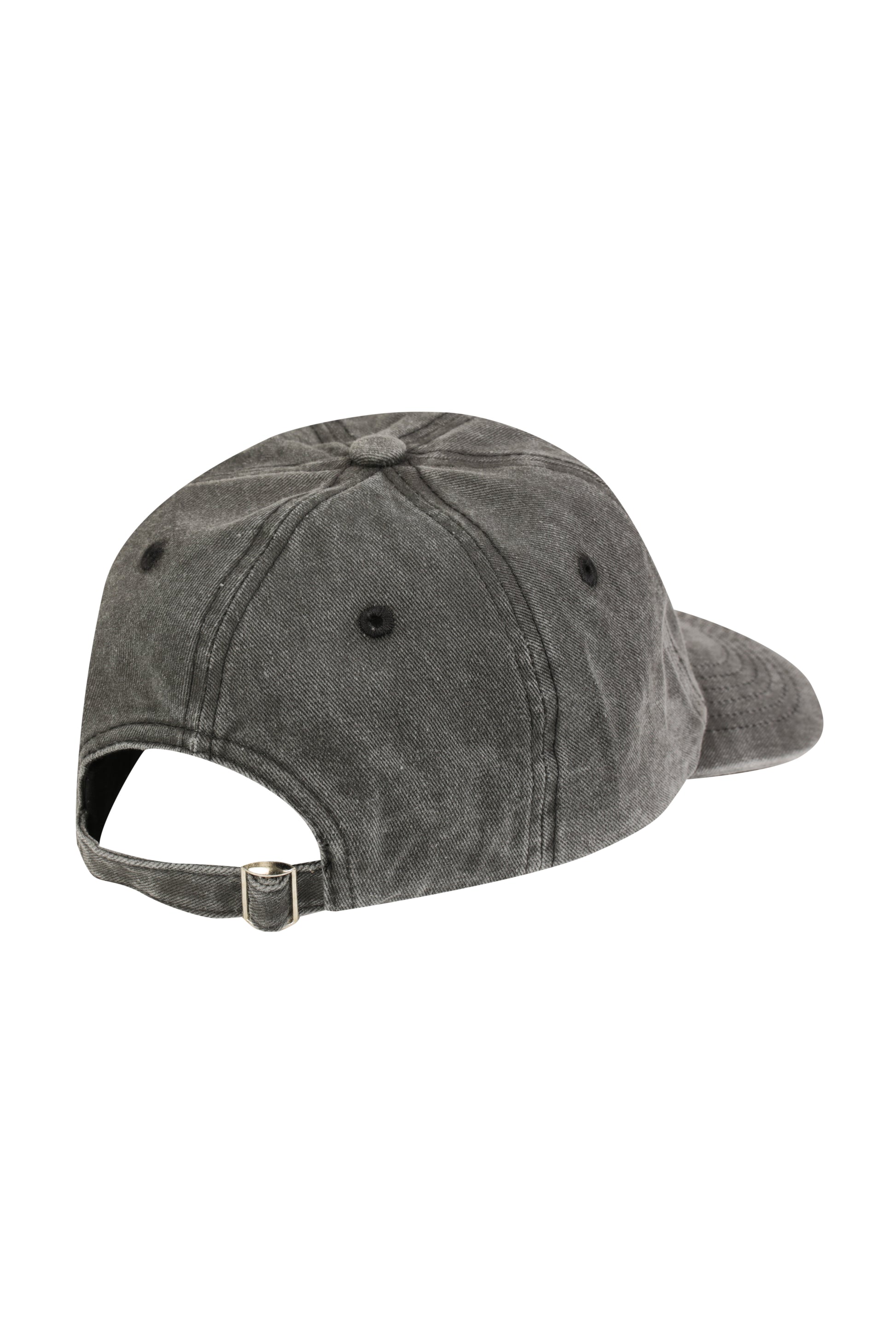 DALMATIAN DAD HAT
