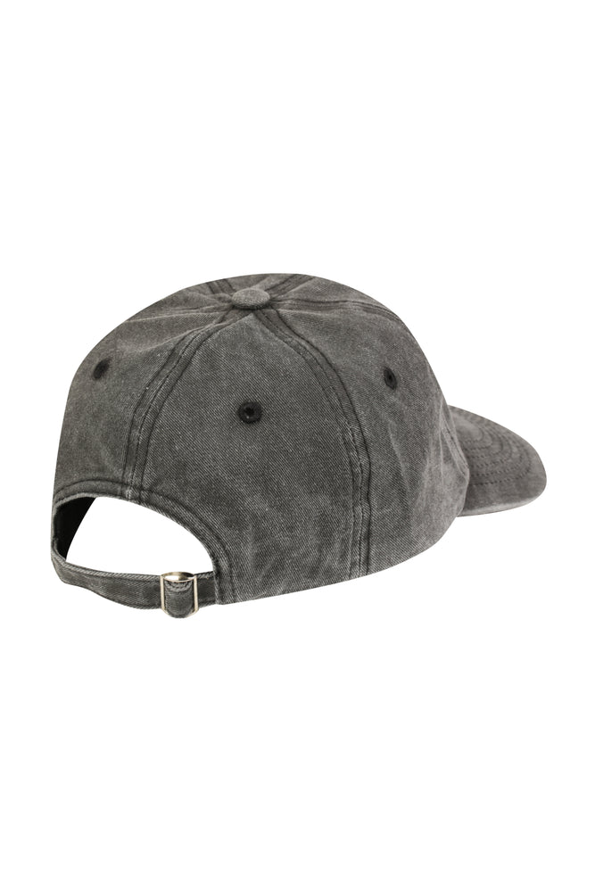 DALMATIAN DAD HAT