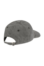DALMATIAN DAD HAT