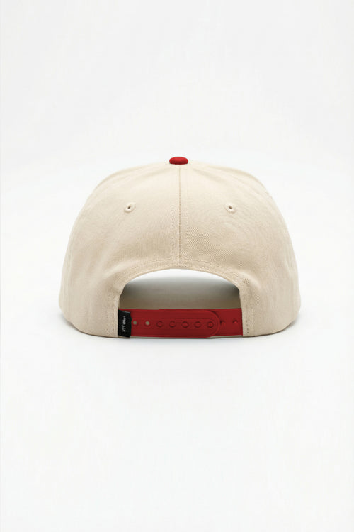 SIGNATURE SNAPBACK PRIMARY COLOUR RELEASE