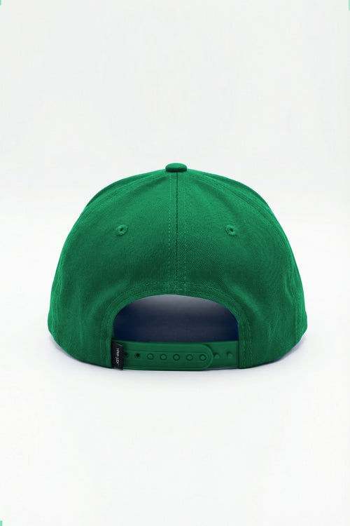 SIGNATURE SNAPBACK PRIMARY COLOUR RELEASE