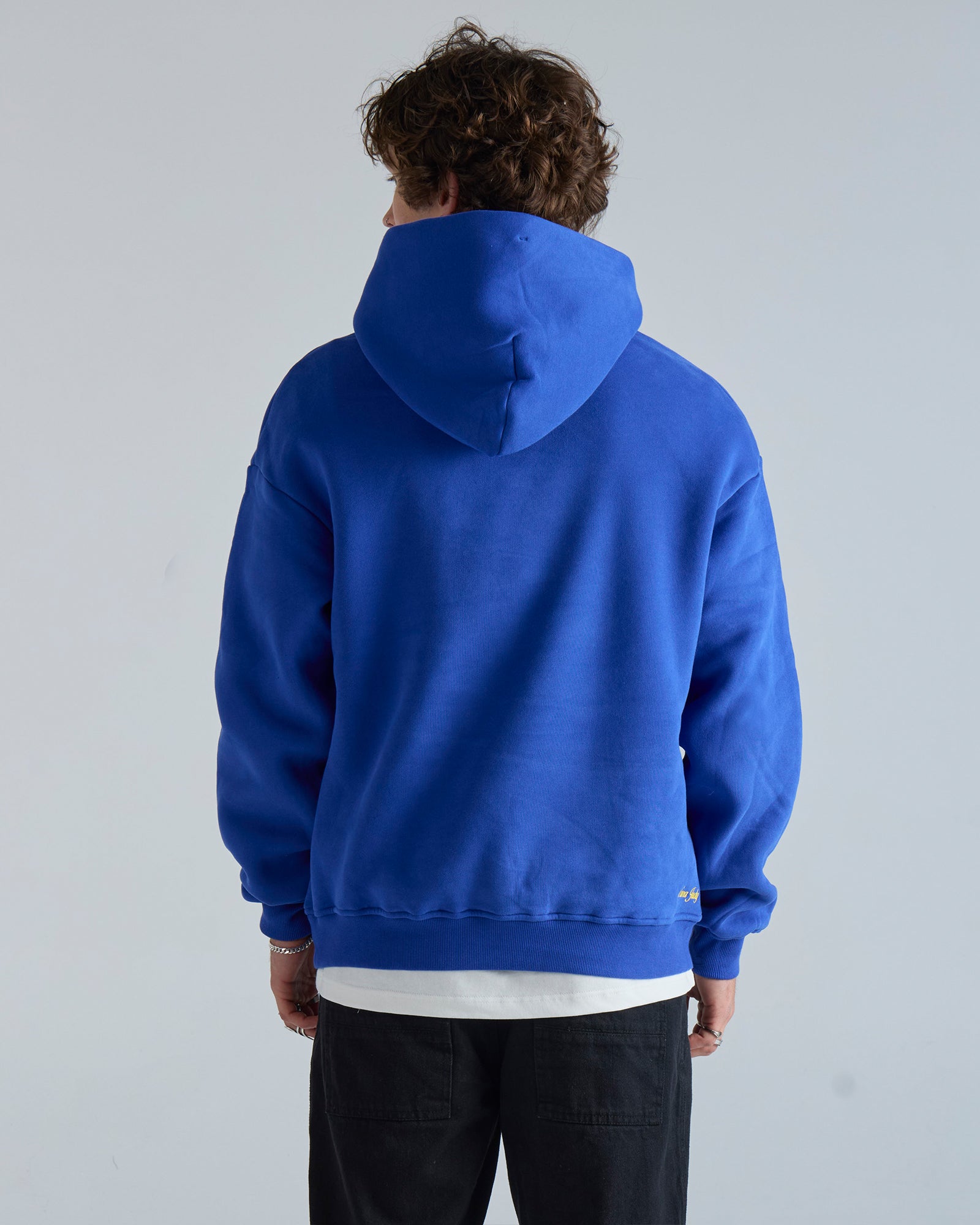 THE LOUIS HOOD