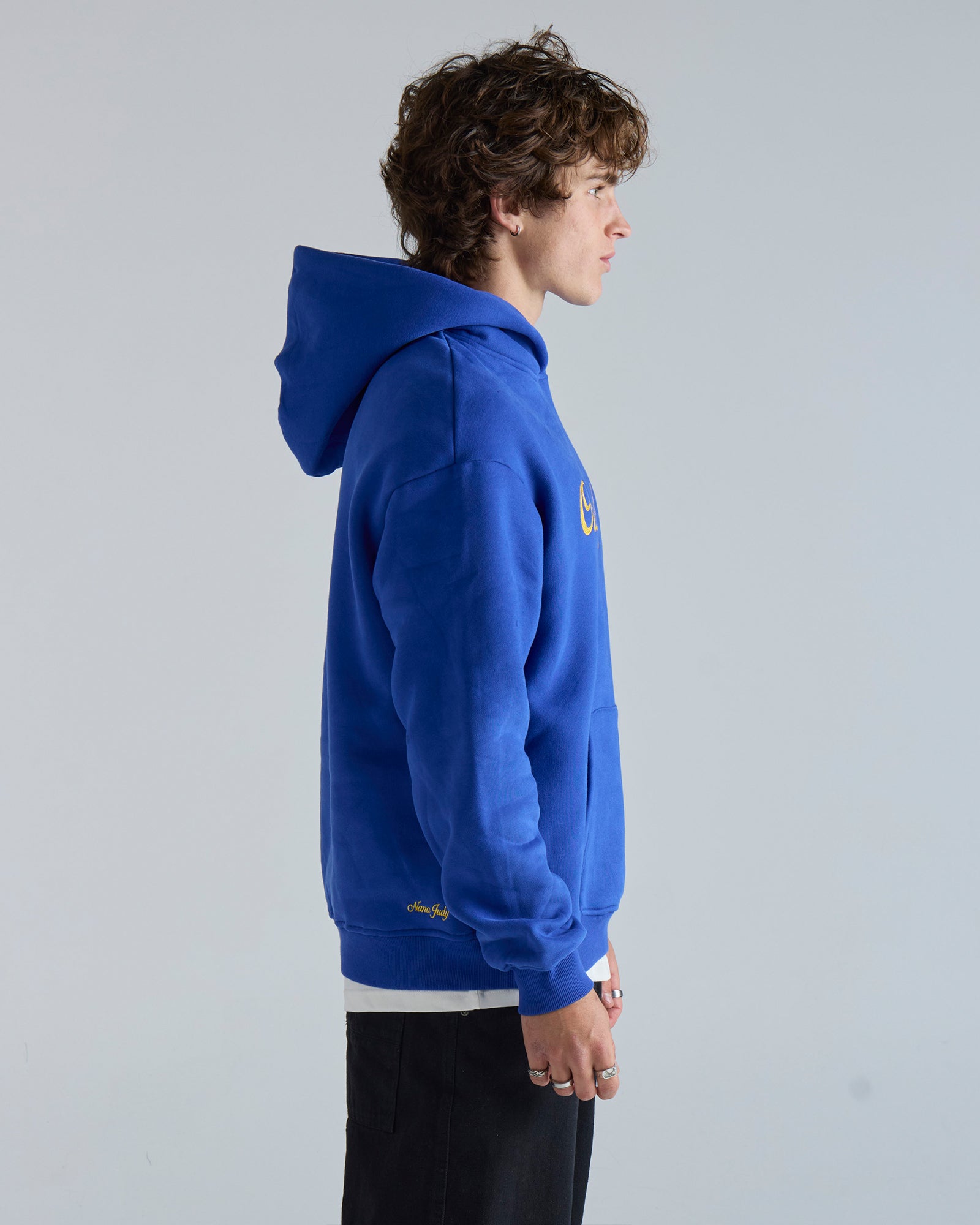 THE LOUIS HOOD